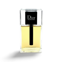 Dior Homme 100ml Eau de Toilette